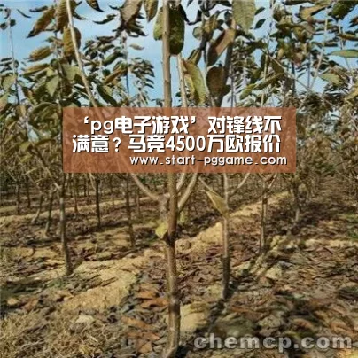 ‘pg电子游戏’对锋线不满意?马竞4500万欧报价美洲杯红人,试图颠覆西甲格局(图3) pg电子官网