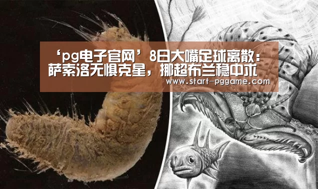 ‘pg电子官网’8日大嘴足球离散:萨索洛无惧克星,挪超布兰稳中求胜(图4) pg电子官网